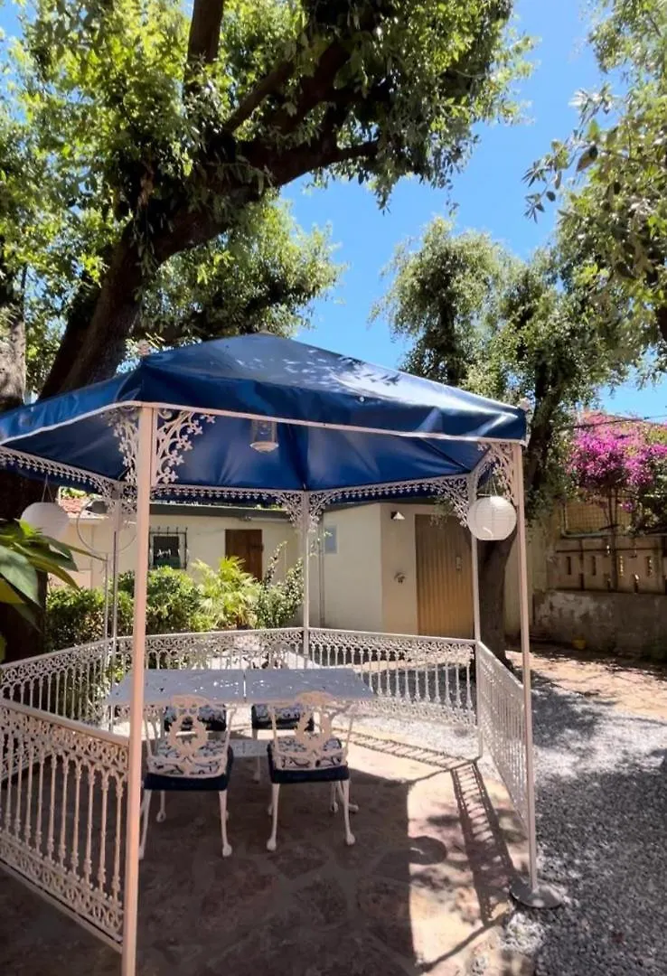 Villa Olga San Vincenzo